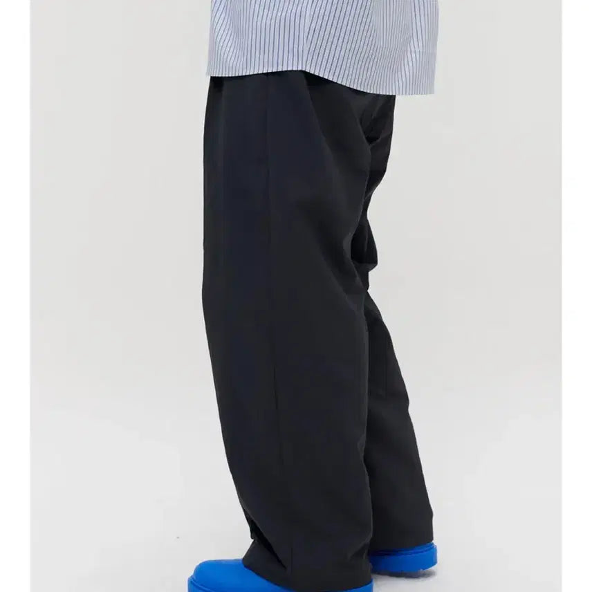 [BUNJANG] Lemard Nylon Two-Tuck Wide Pants / 르마드 나일론 투턱 와이드 팬츠