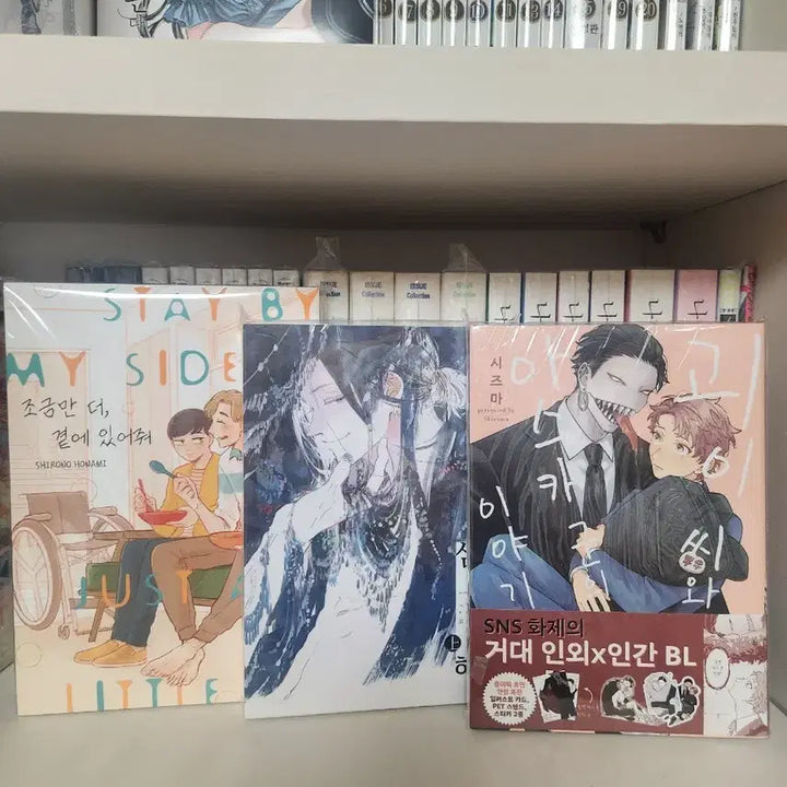 [BUNJANG] BL Manga Bundle Set / bl만화책 팝니다 (띠지, 특전포함)괴이씨, 잘 자 심해,내 곁에 있어줘