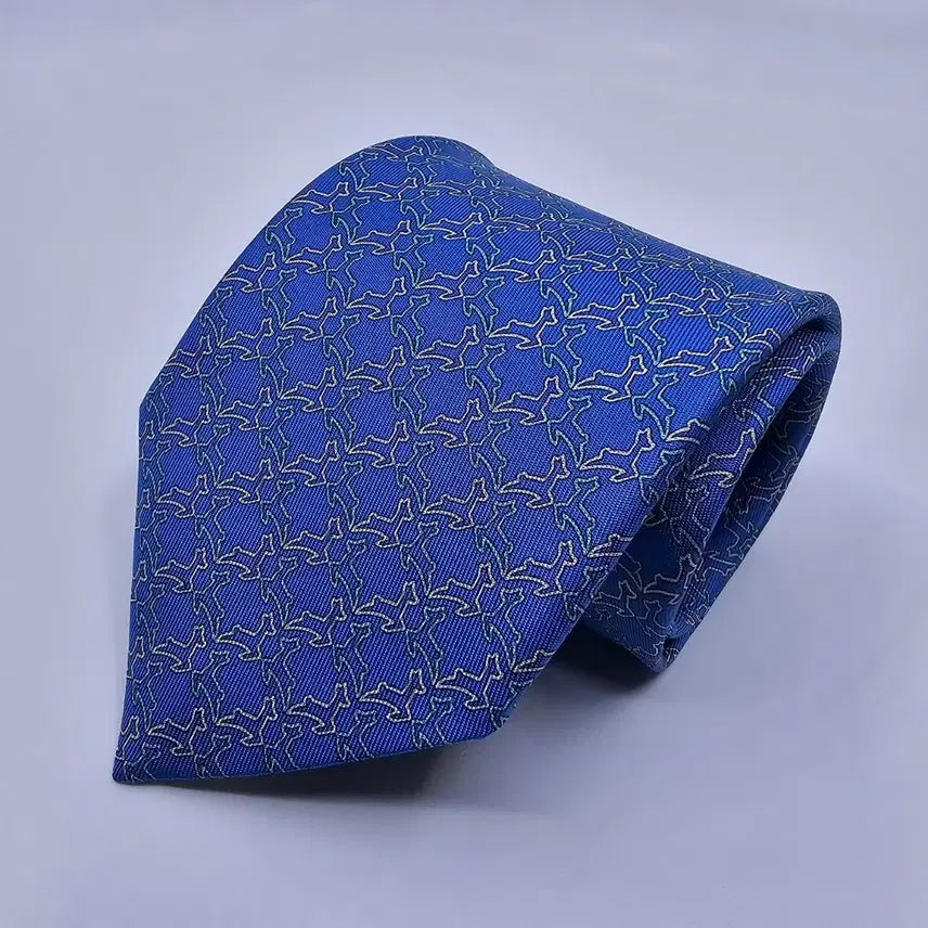 [BUNJANG] Ferragamo Necktie / 페라가모 넥타이