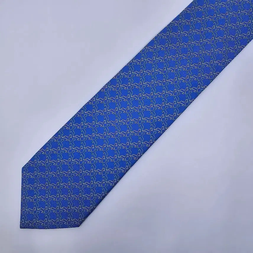 [BUNJANG] Ferragamo Necktie / 페라가모 넥타이