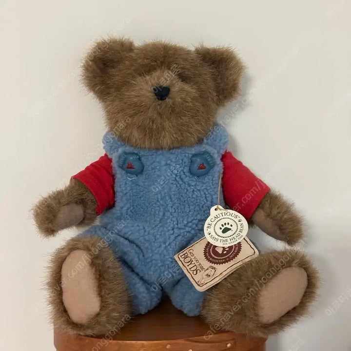 [BUNJANG] Boyz Bear Toy / 보이즈베어