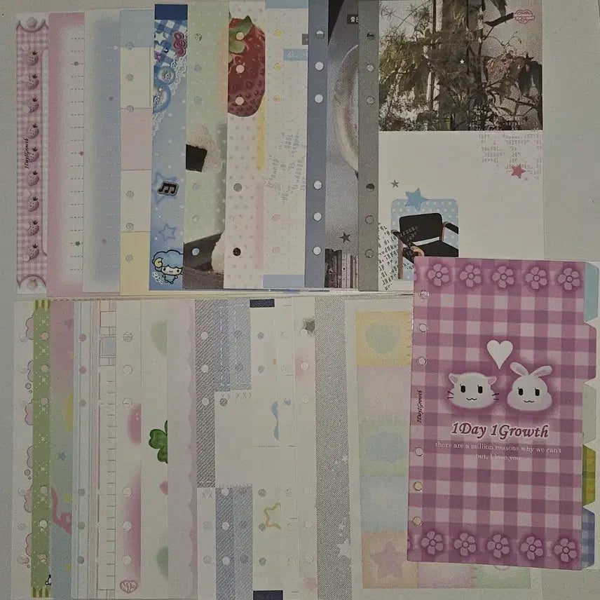 [BUNJANG] A6 Diary Inserts Bundle Set / A6 다이어리 속지 86장 일괄 소분 (어버블크러쉬, 1일1성장)