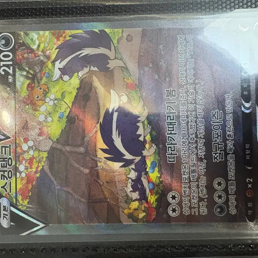 [BUNJANG] Pokemon Cards Bundle Set / 포켓몬카드+바인더 일괄