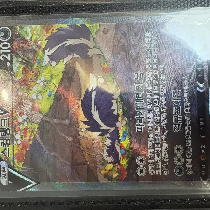 [BUNJANG] Pokemon Cards Bundle Set / 포켓몬카드+바인더 일괄