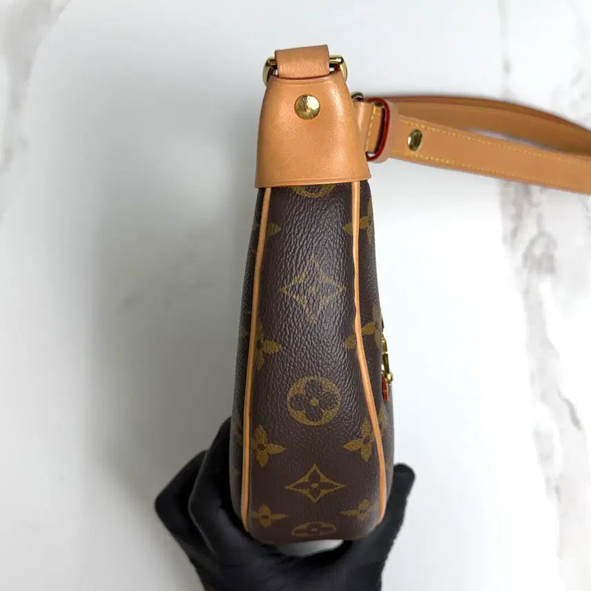 [BUNJANG] Louis Vuitton Monogram Loop Hobo Bag / 루이비통 모노그램 루프 호보백