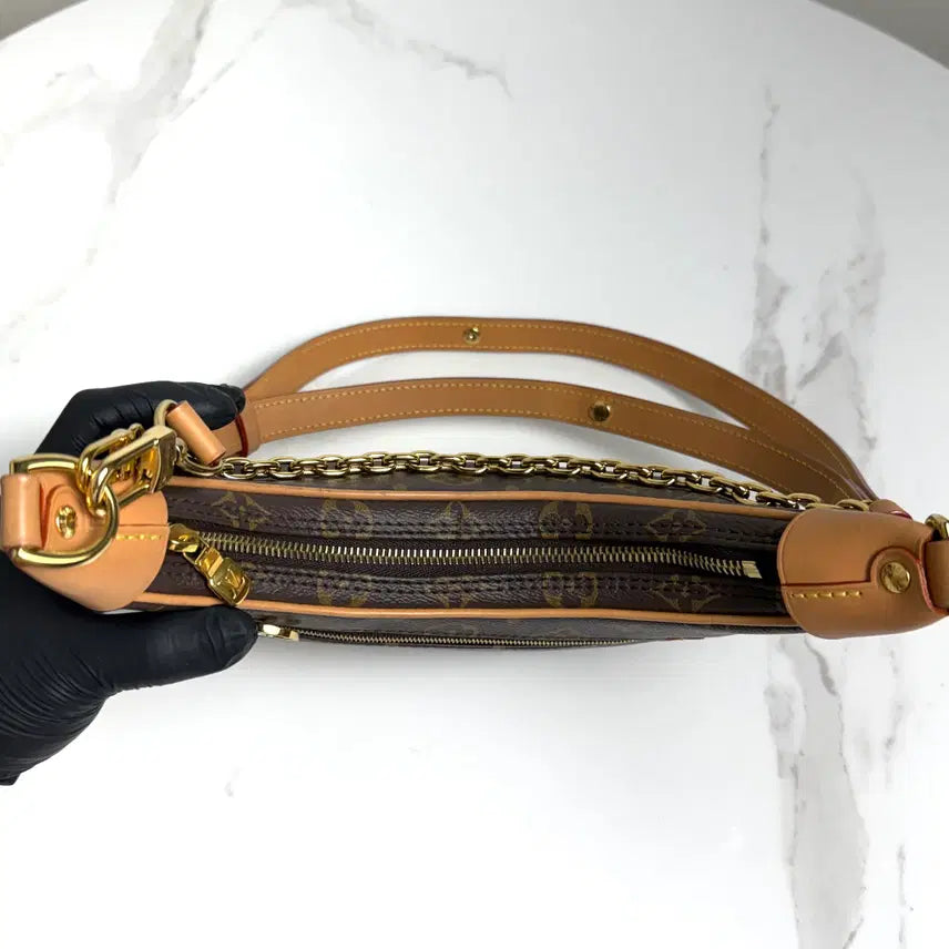 [BUNJANG] Louis Vuitton Monogram Loop Hobo Bag / 루이비통 모노그램 루프 호보백