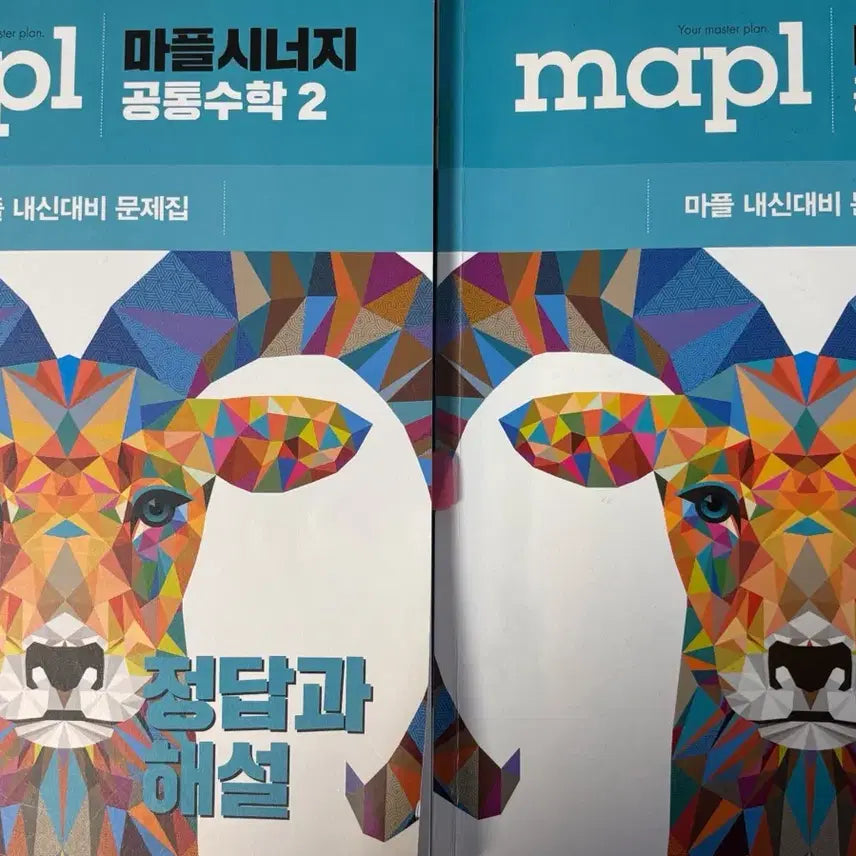 [BUNJANG] Marpple Synergy Common Math 2 Textbook / 마플시너지 공통수학2 공수2  + 답지
