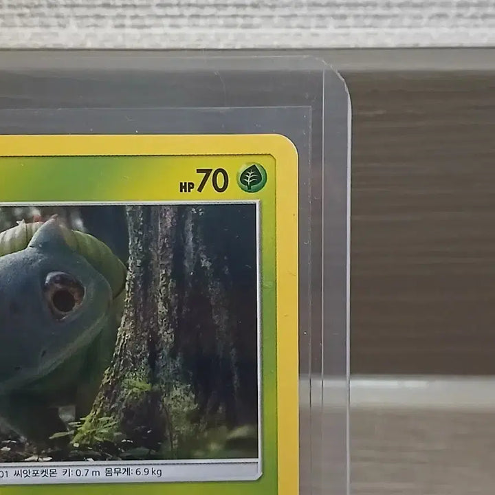 [BUNJANG] Pokemon Bulbasaur Detective Pikachu Card / 포켓몬카드 이상해씨 명탐정피카츄 (S)