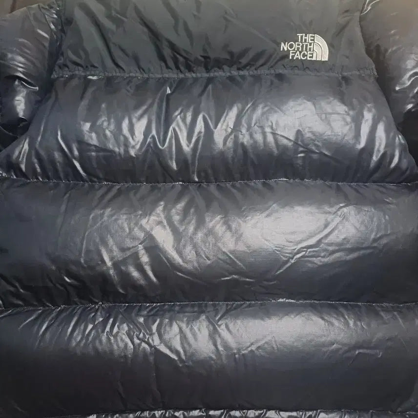 [BUNJANG] The North Face Summit Series 900 Nuptse Puffer Jacket Black (L) / 노스페이스 900 써밋 눕시패딩 블랙 해외판L