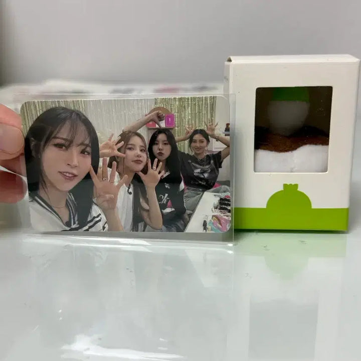 [BUNJANG] MAMAMOO Official Lightstick Doll / 마마무 무봉 인형