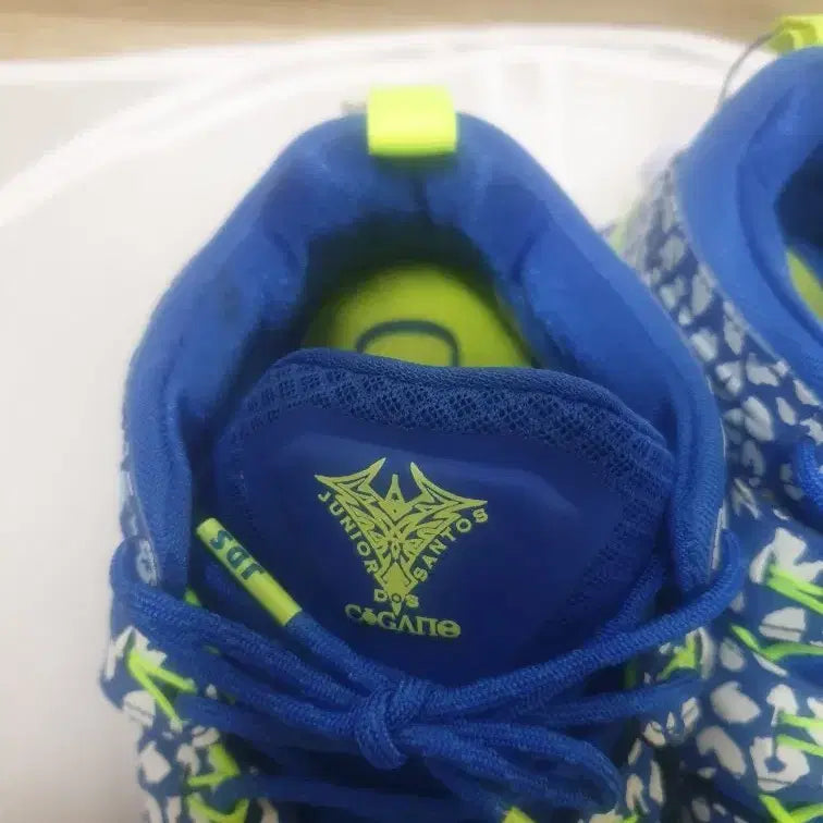 [BUNJANG] Nike Junior Dos Santos Sample Sneakers / 전 UFC 헤비급 챔피언 주니어 도스 산토스 나이키 운동화