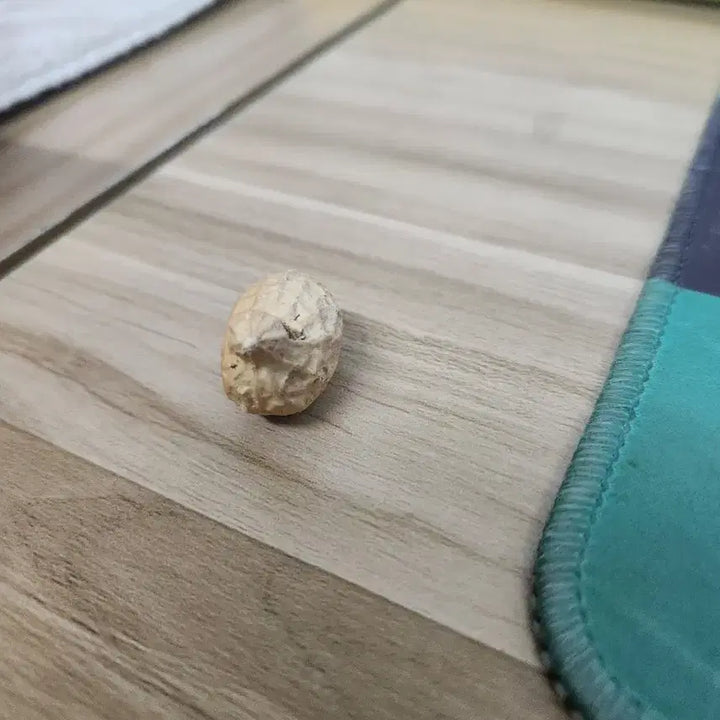 [BUNJANG] Duck Shaped Peanut Snack / 오리모양 땅콩