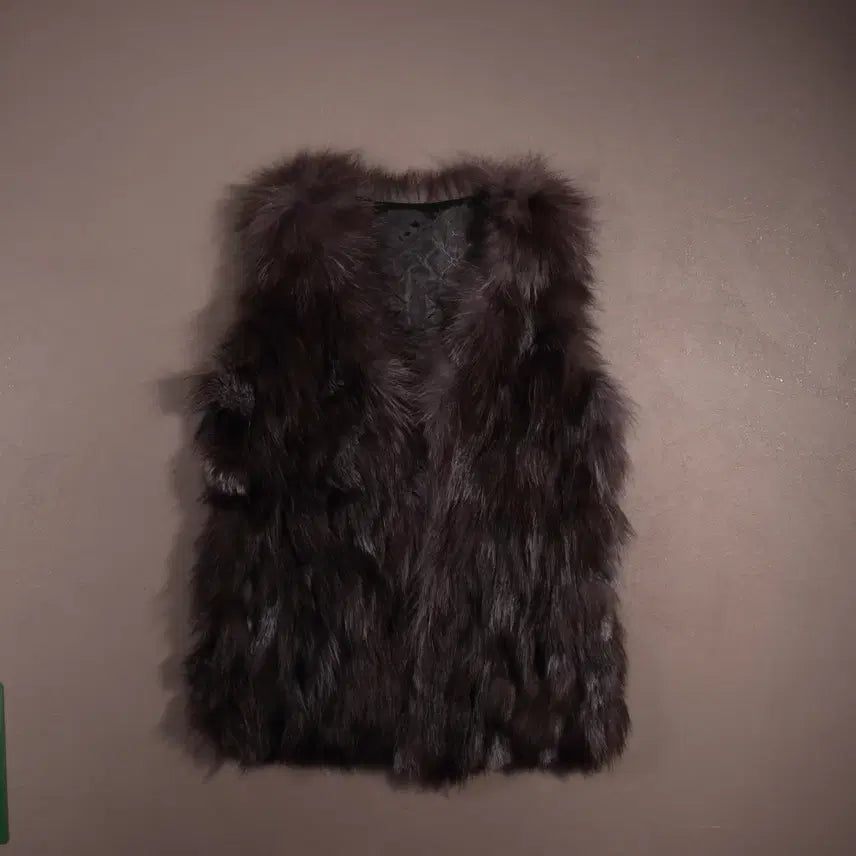 [BUNJANG] Vintage Fur Vest C225 / 일본빈티지 퍼 베스트 C225