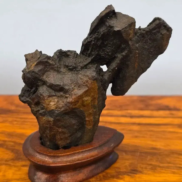 [BUNJANG] Deoksan Choco Stone / 26022711 주름 변화가 좋은 덕산 초코석 수석 팝니다