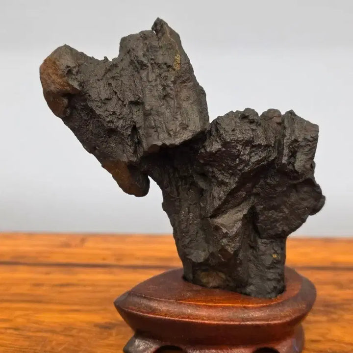 [BUNJANG] Deoksan Choco Stone / 26022711 주름 변화가 좋은 덕산 초코석 수석 팝니다