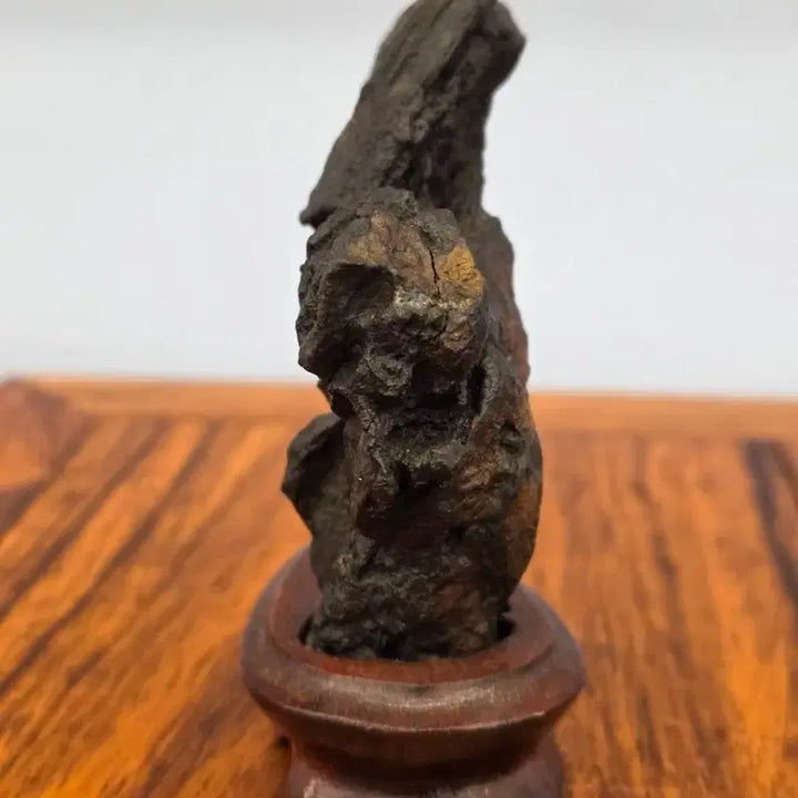 [BUNJANG] Deoksan Choco Stone / 26022711 주름 변화가 좋은 덕산 초코석 수석 팝니다