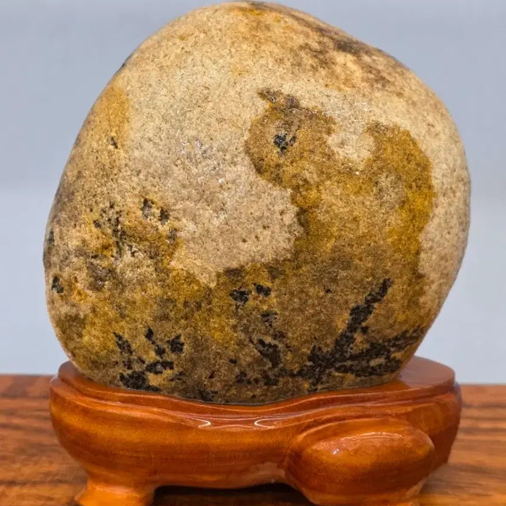 [BUNJANG] Unique Pattern Stone / 26022713 다람쥐 문양이 독특한 문양석 수석 팝니다