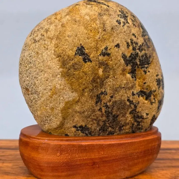 [BUNJANG] Unique Pattern Stone / 26022713 다람쥐 문양이 독특한 문양석 수석 팝니다