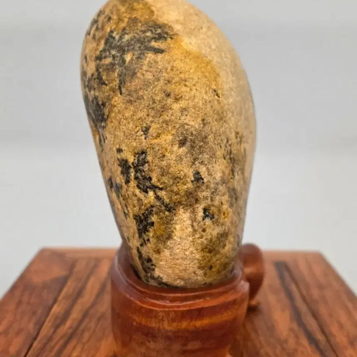 [BUNJANG] Unique Pattern Stone / 26022713 다람쥐 문양이 독특한 문양석 수석 팝니다