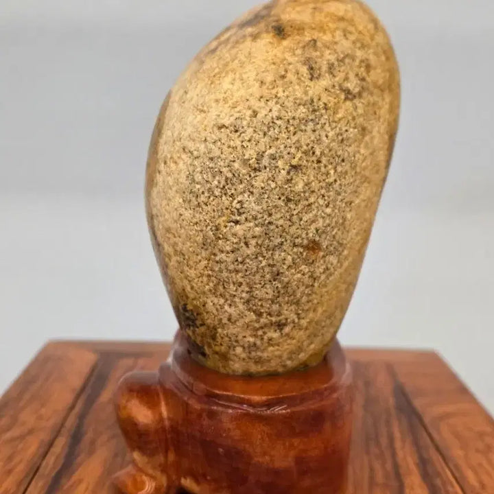 [BUNJANG] Unique Pattern Stone / 26022713 다람쥐 문양이 독특한 문양석 수석 팝니다