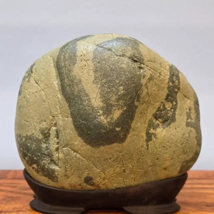 [BUNJANG] Unique Pattern Interpretation Saseok Stone / 26022714 문양이 독특한 해석 사유석 수석 팝니다