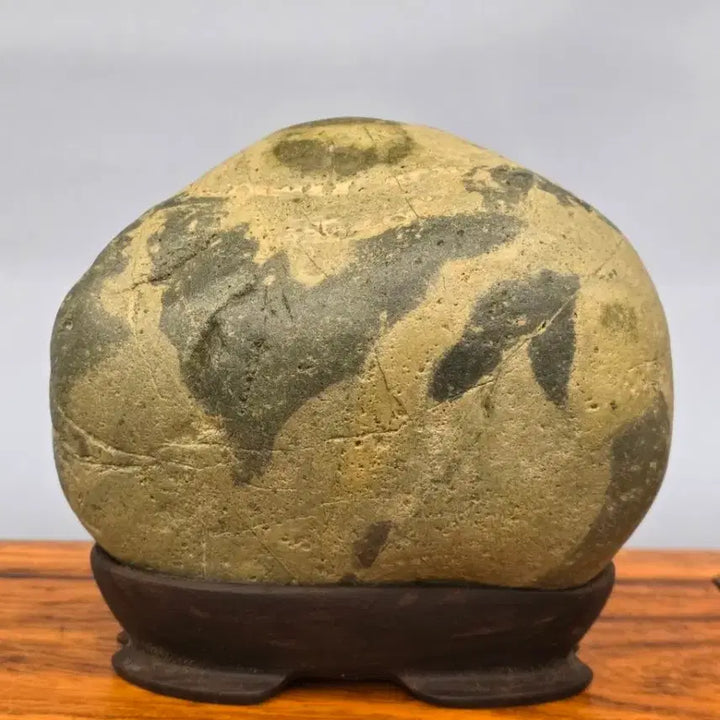 [BUNJANG] Unique Pattern Interpretation Saseok Stone / 26022714 문양이 독특한 해석 사유석 수석 팝니다