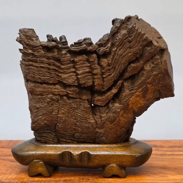 [BUNJANG] Choco Stone / 26022715 주름 변화가 환상적인 초코석 수석 팝니다