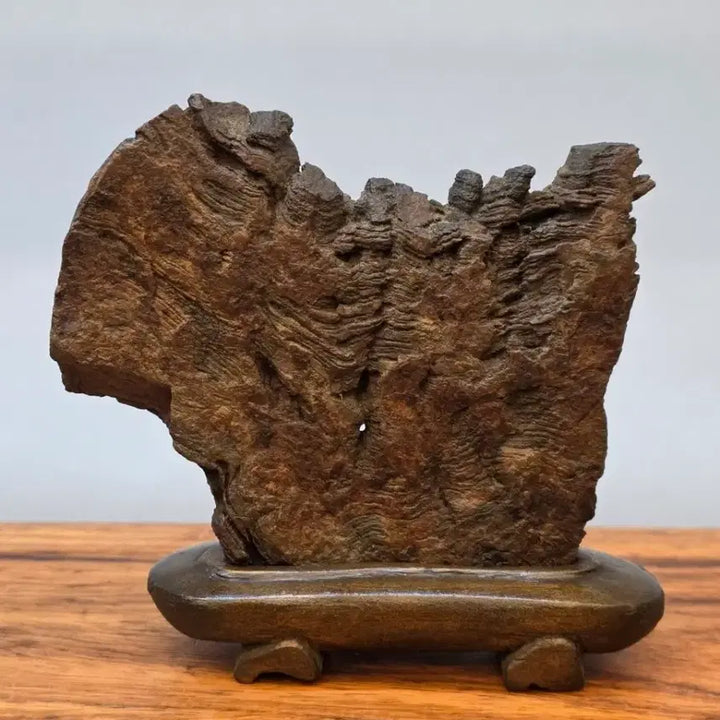 [BUNJANG] Choco Stone / 26022715 주름 변화가 환상적인 초코석 수석 팝니다