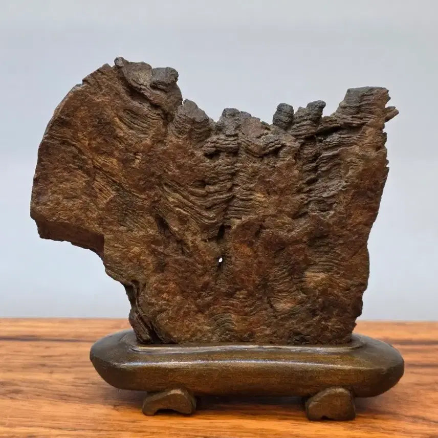 [BUNJANG] Choco Stone / 26022715 주름 변화가 환상적인 초코석 수석 팝니다