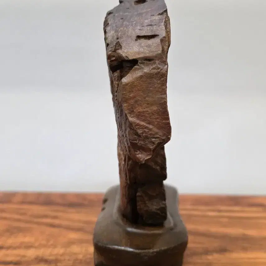 [BUNJANG] Choco Stone / 26022715 주름 변화가 환상적인 초코석 수석 팝니다