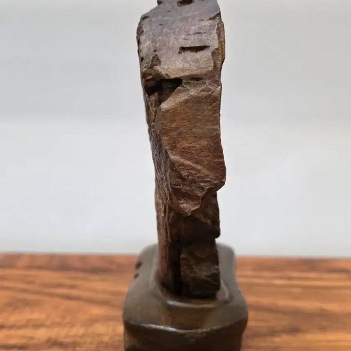 [BUNJANG] Choco Stone / 26022715 주름 변화가 환상적인 초코석 수석 팝니다