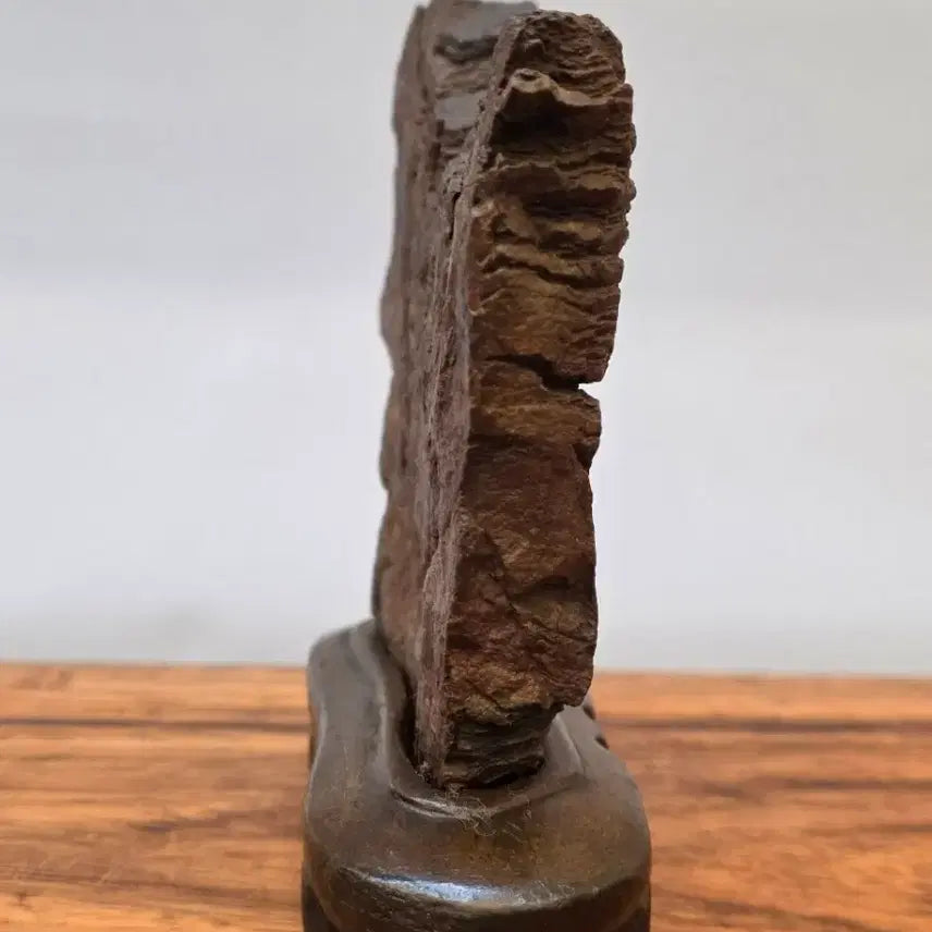 [BUNJANG] Choco Stone / 26022715 주름 변화가 환상적인 초코석 수석 팝니다