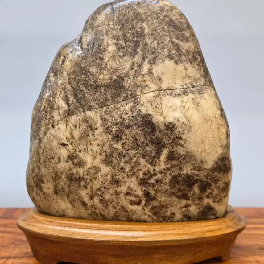 [BUNJANG] Misari Tiger Stone / 26022717 석질 좋은 미사리 호피석 수석 팝니다