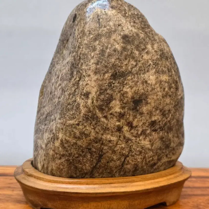 [BUNJANG] Misari Tiger Stone / 26022717 석질 좋은 미사리 호피석 수석 팝니다