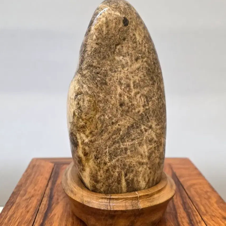 [BUNJANG] Misari Tiger Stone / 26022717 석질 좋은 미사리 호피석 수석 팝니다