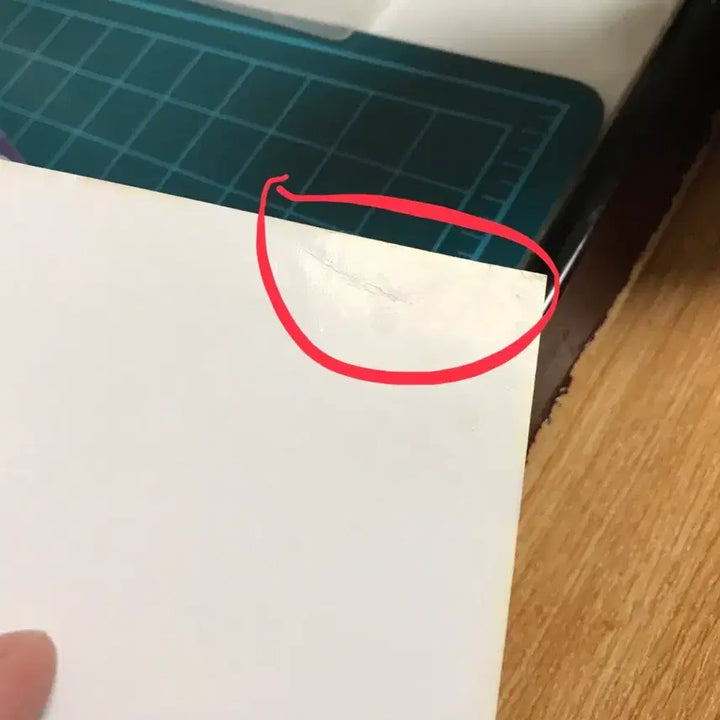 [BUNJANG] Light Novel So I'm a Spider, So What? Volume 10 First Edition Illustration Card / 라노벨 라이트 노벨 거미입니다만 문제라도? 10권 초판 특전