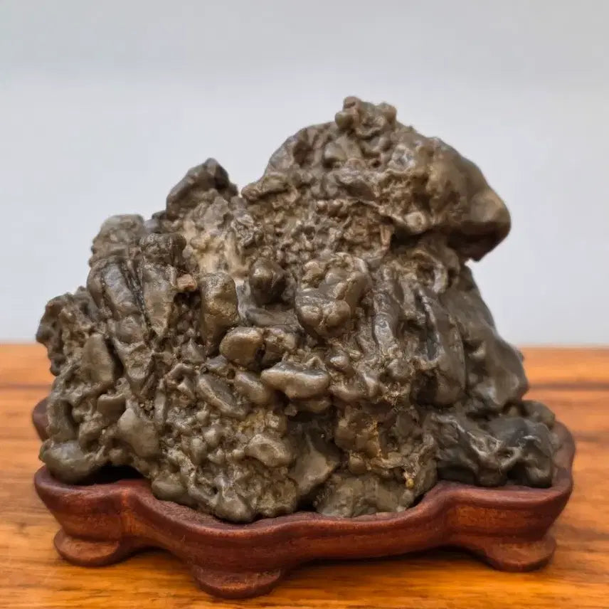 [BUNJANG] Desert Agate Mineral Specimen / 26022723 변화가 기가막힌 사막 마노석 광물 수석 팝니다