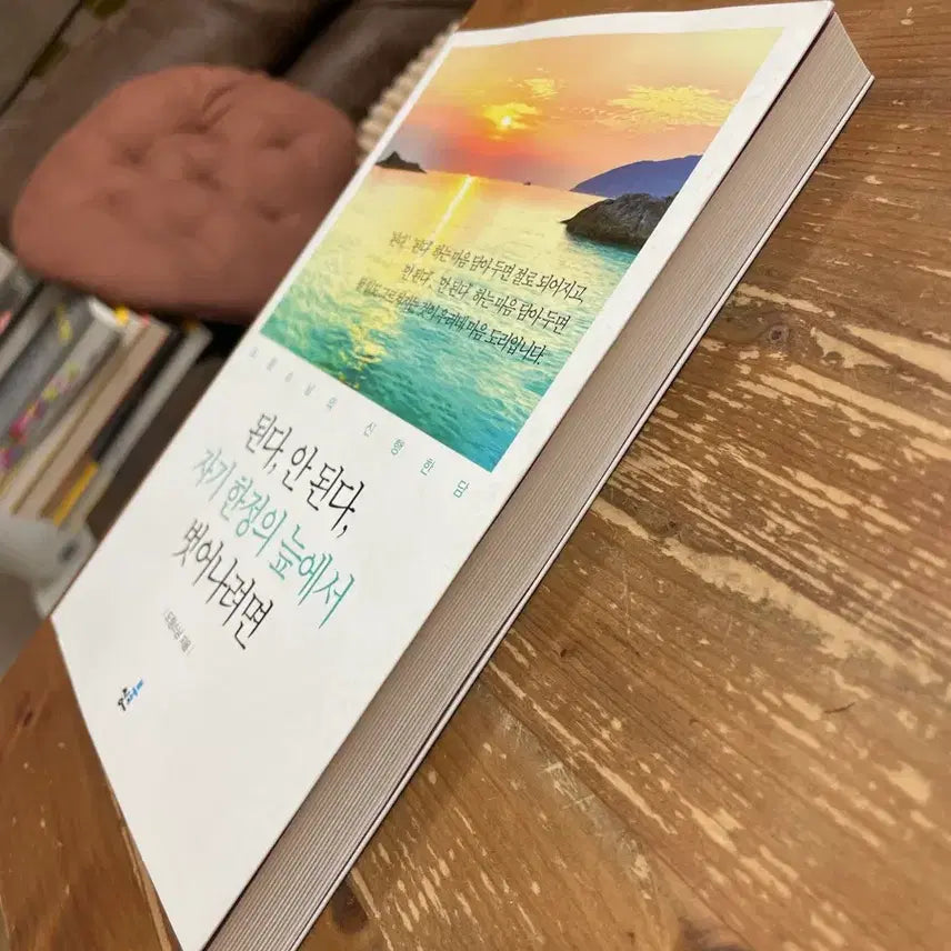 [BUNJANG] DoChang Book / 된다, 안 된다, 자기 한정의 늪에서 벗어나려면 - 도창