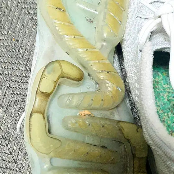 [BUNJANG] Nike White Sneakers / 나이키 흰색 운동화 (290)