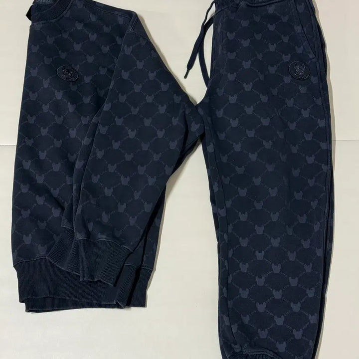 [BUNJANG] Snowpeak Logo Pattern Sweat Setup L / 스노우피크 로고 패턴 스웨트 셋업 L