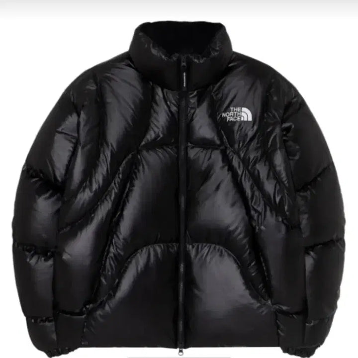 [BUNJANG] The North Face Wave RDS Down Jacket Black (Size S) / 노스페이스 화이트 라벨 웨이브 RDS 다운 자켓 블랙 S