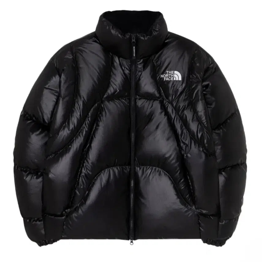 [BUNJANG] The North Face White Label RDS Down Jacket Black / 노스페이스 화이트 라벨 웨이브 RDS 다운 블랙 S