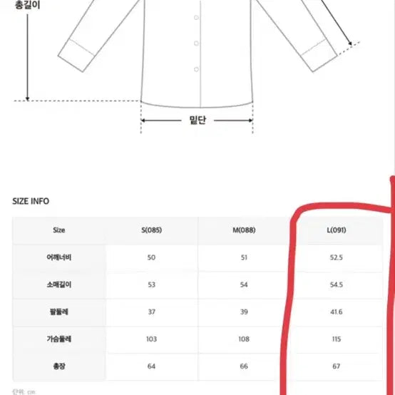 [BUNJANG] Roem Loose Fit Cotton Shirt / 로엠 루즈핏 셔츠