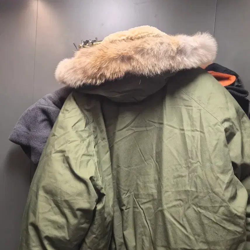 [BUNJANG] Nigel Carbon Padded Jacket / nigel 나이젤 패딩 팝니다