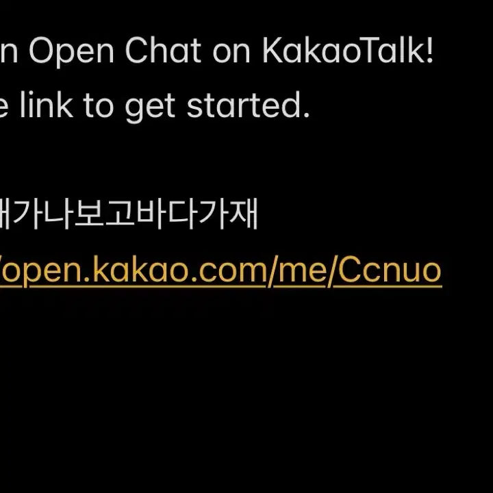 [BUNJANG] Seventeen Joshua Official Name Tag / 세븐틴 세봉고 홍지수 공굿 명찰