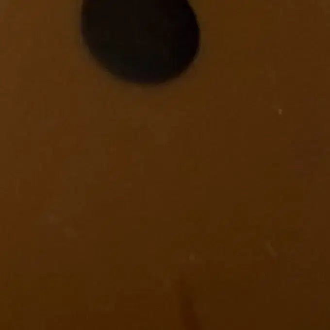 [BUNJANG] Ediya Rilakkuma Korilakkuma Magnet / 이디야 리락쿠마 마그넷 - 네발 차이로리코구마