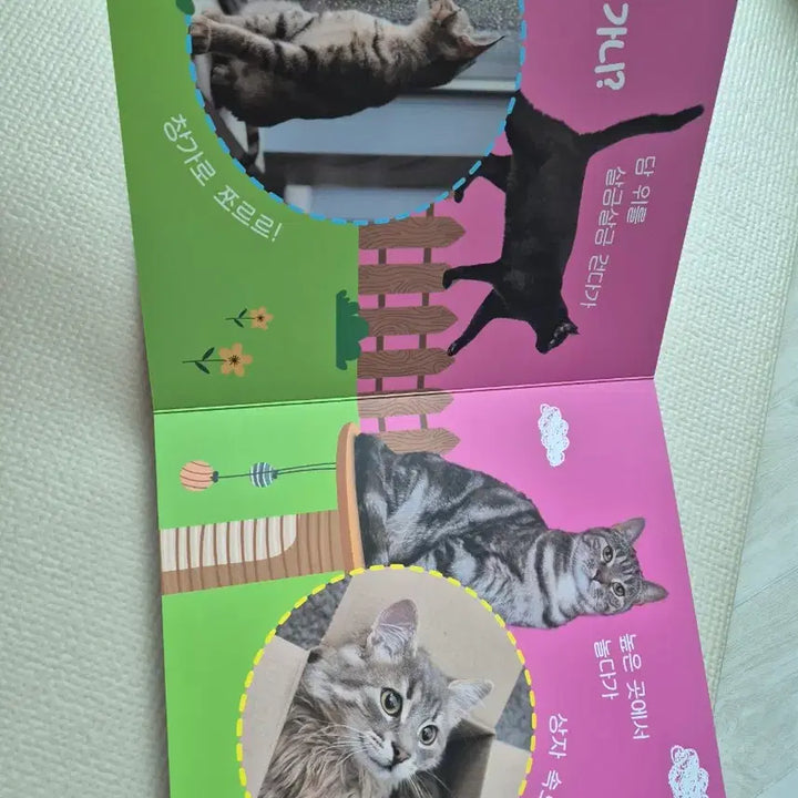 [BUNJANG] Bebe Kkumteul Nature Observation Board Book Bundle Set / 아기책 베베꿈틀 자연관찰 보드북 그림책 11권일괄