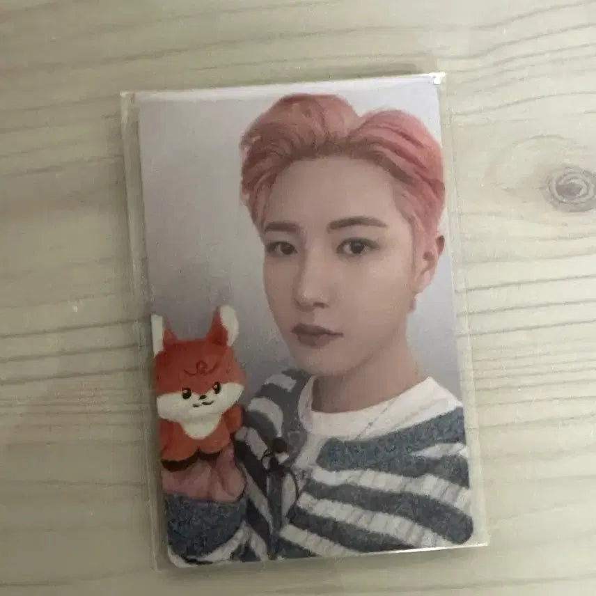 [BUNJANG] NCT Dream Renjun Doll / 드리미즈 쭌 인형