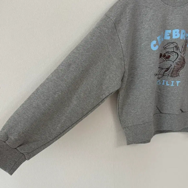 [BUNJANG] Gray Dog Print Sweatshirt / 새제품   그레이 도그 프린팅 맨투맨