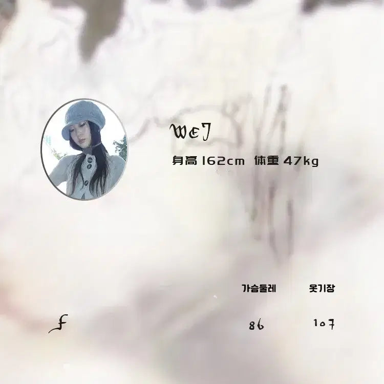 [BUNJANG] ang:project Vintage Layered Sheer Mesh Camisole Dress / ang:project 빈티지 레이어드 시스루 메시 캐미솔 드레스